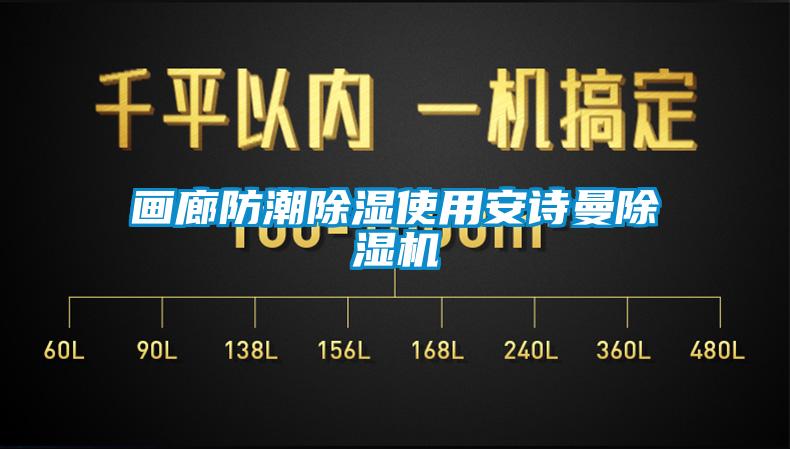 畫廊防潮除濕使用安詩曼除濕機(jī)
