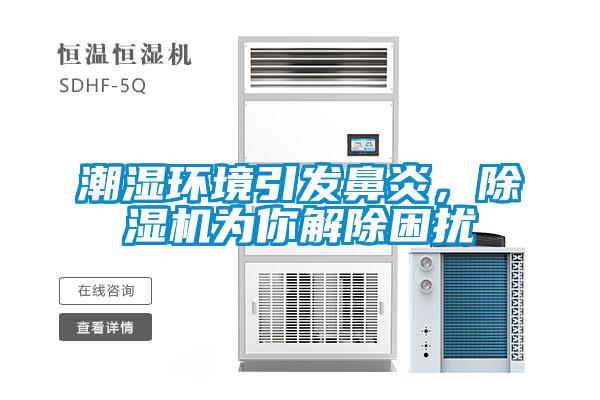 潮濕環(huán)境引發(fā)鼻炎，除濕機為你解除困擾