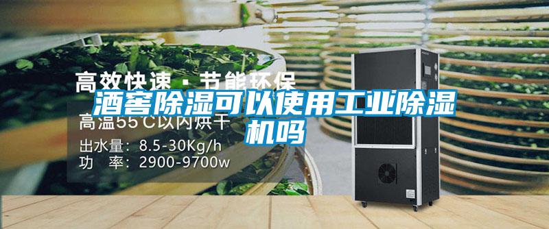 酒窖除濕可以使用工業(yè)除濕機嗎
