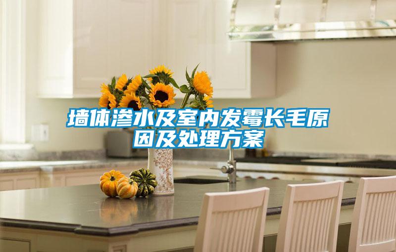墻體滲水及室內(nèi)發(fā)霉長(zhǎng)毛原因及處理方案