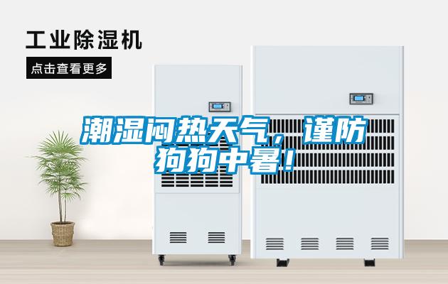 潮濕悶熱天氣，謹(jǐn)防狗狗中暑！