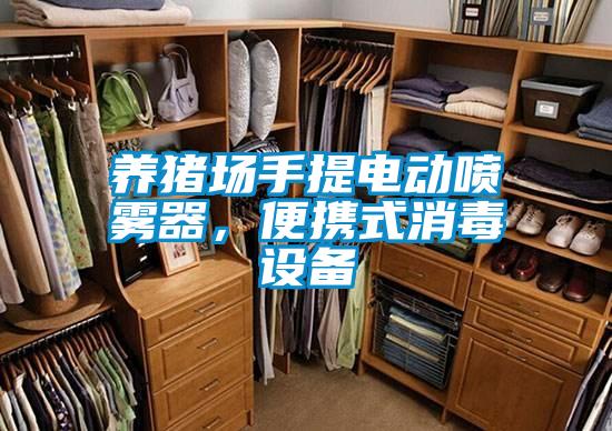 養(yǎng)豬場手提電動(dòng)噴霧器，便攜式消毒設(shè)備