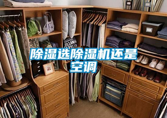 除濕選除濕機(jī)還是空調(diào)