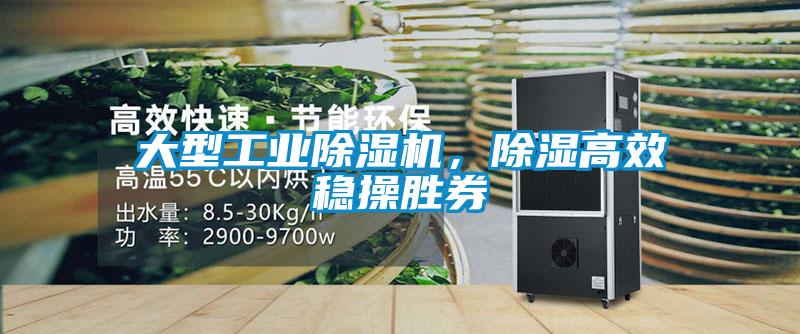 大型工業(yè)除濕機(jī)，除濕高效穩(wěn)操勝券