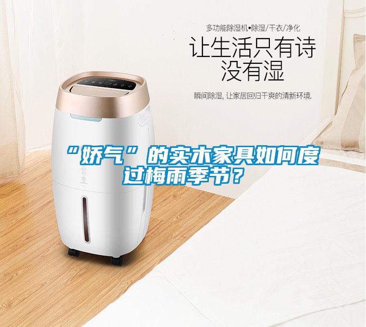 “嬌氣”的實(shí)木家具如何度過(guò)梅雨季節(jié)？