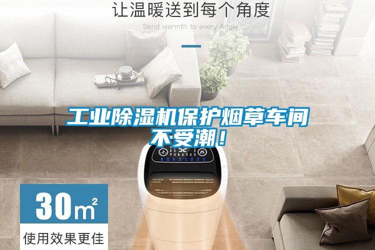 工業(yè)除濕機(jī)保護(hù)煙草車間不受潮！