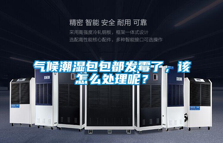 氣候潮濕包包都發(fā)霉了，該怎么處理呢？