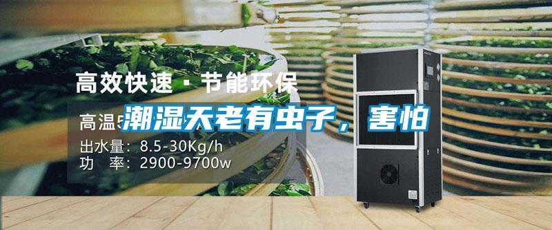 潮濕天老有蟲子，害怕