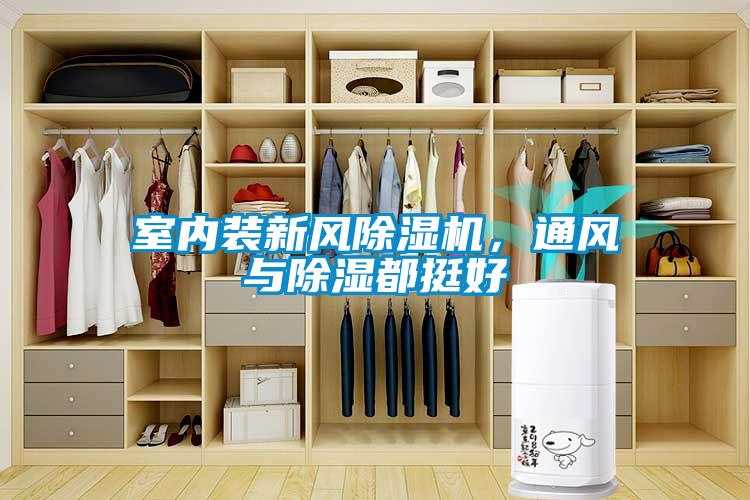 室內(nèi)裝新風(fēng)除濕機(jī)，通風(fēng)與除濕都挺好