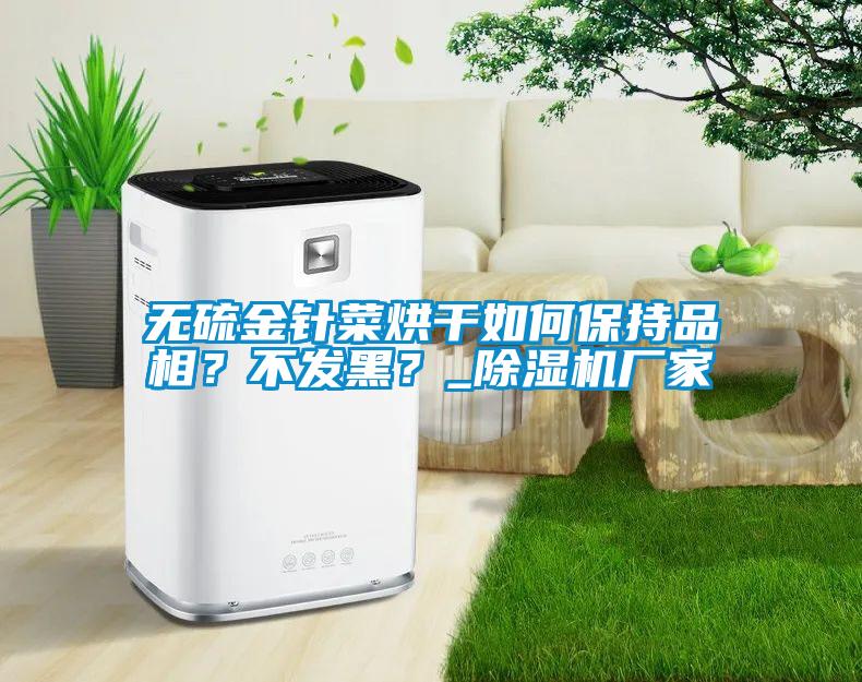 無硫金針菜烘干如何保持品相？不發(fā)黑？_除濕機(jī)廠家