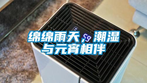 綿綿雨天，潮濕與元宵相伴