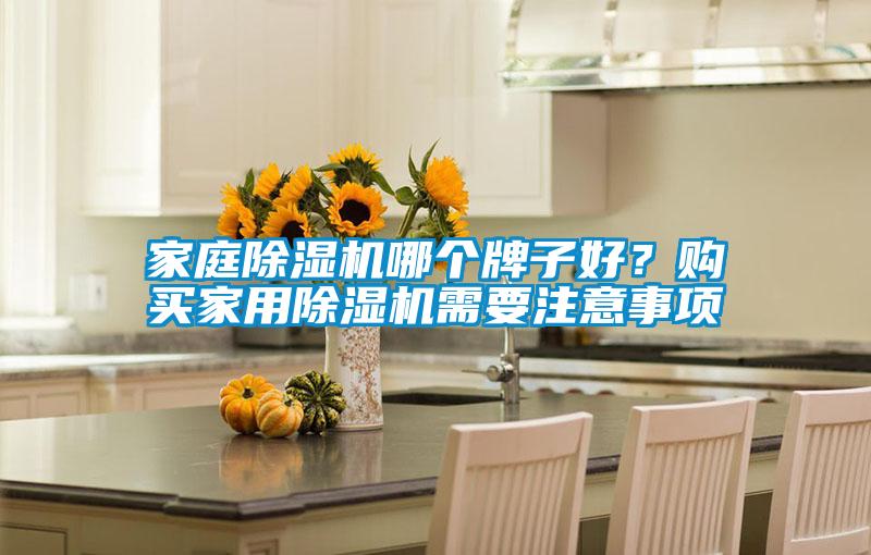 家庭除濕機(jī)哪個(gè)牌子好？購(gòu)買(mǎi)家用除濕機(jī)需要注意事項(xiàng)