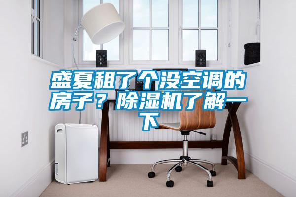 盛夏租了個(gè)沒空調(diào)的房子？除濕機(jī)了解一下