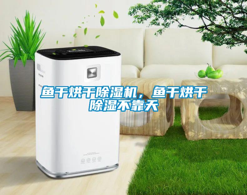 魚干烘干除濕機(jī)，魚干烘干除濕不靠天