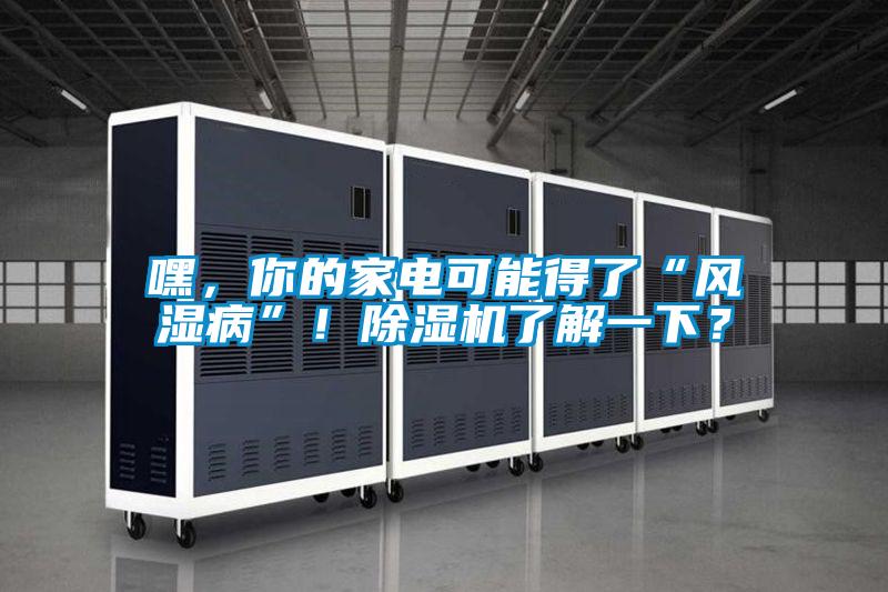 嘿，你的家電可能得了“風濕病”！除濕機了解一下？