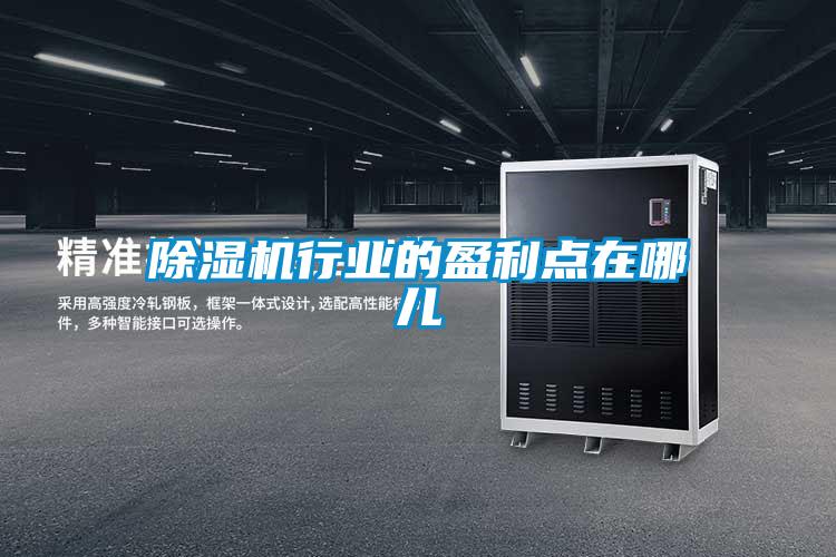 除濕機(jī)行業(yè)的盈利點(diǎn)在哪兒