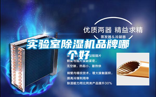 實(shí)驗(yàn)室除濕機(jī)品牌哪個好