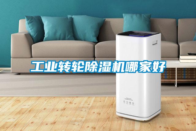 工業(yè)轉(zhuǎn)輪除濕機(jī)哪家好