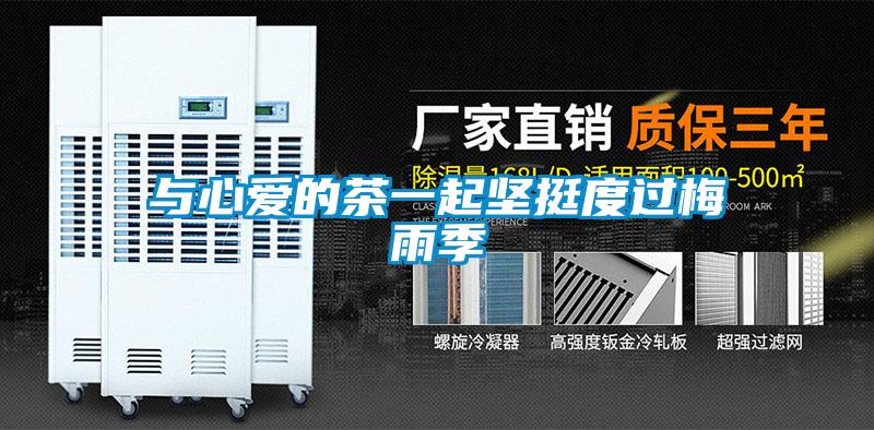 與心愛(ài)的茶一起堅(jiān)挺度過(guò)梅雨季