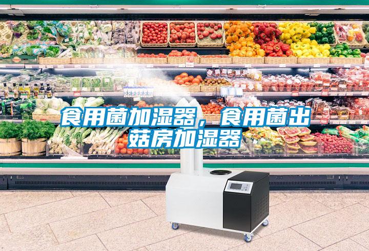 食用菌加濕器，食用菌出菇房加濕器