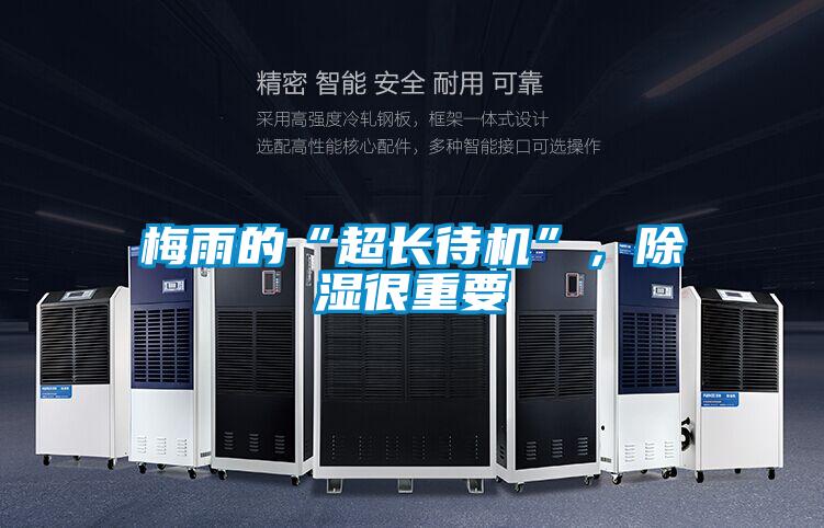 梅雨的“超長待機(jī)”，除濕很重要