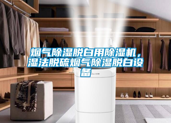 煙氣除濕脫白用除濕機(jī)，濕法脫硫煙氣除濕脫白設(shè)備