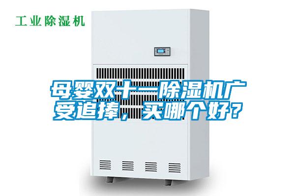 母嬰雙十一除濕機廣受追捧，買哪個好？