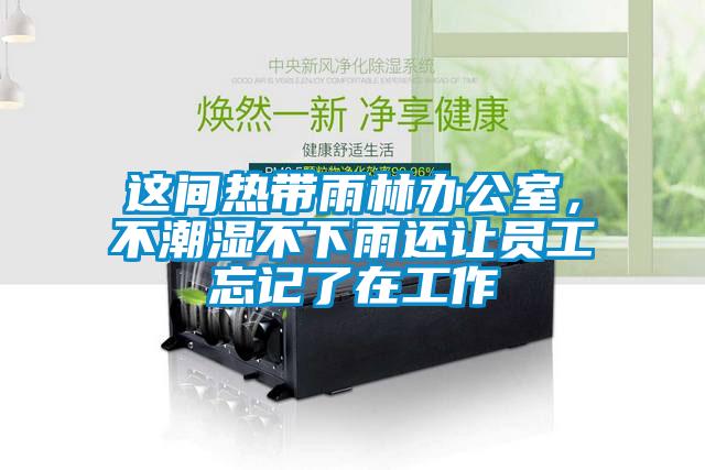 這間熱帶雨林辦公室，不潮濕不下雨還讓員工忘記了在工作