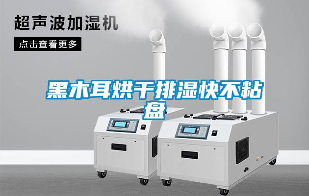 黑木耳烘干排濕快不粘盤(pán)