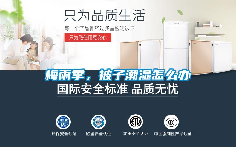 梅雨季，被子潮濕怎么辦
