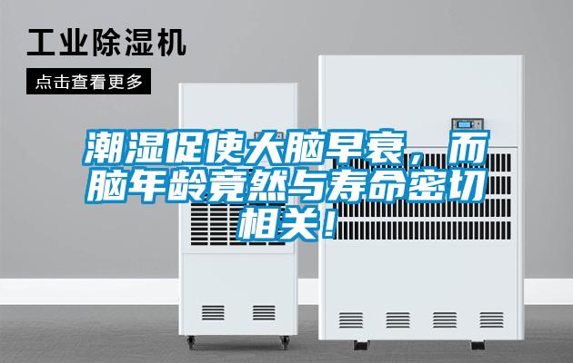 潮濕促使大腦早衰，而腦年齡竟然與壽命密切相關(guān)！