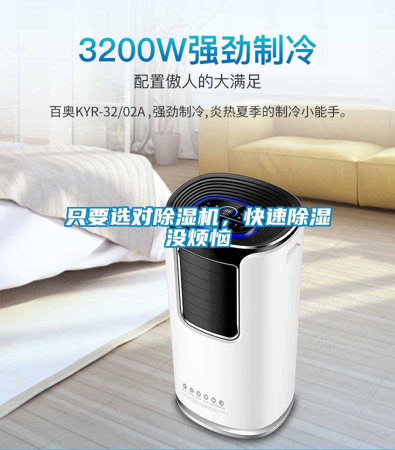 只要選對除濕機，快速除濕沒煩惱