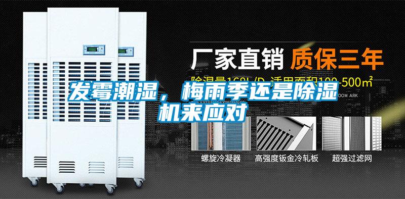 發(fā)霉潮濕，梅雨季還是除濕機來應對