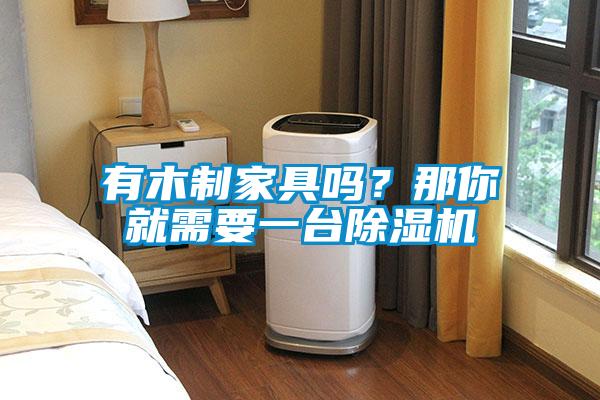有木制家具嗎？那你就需要一臺(tái)除濕機(jī)