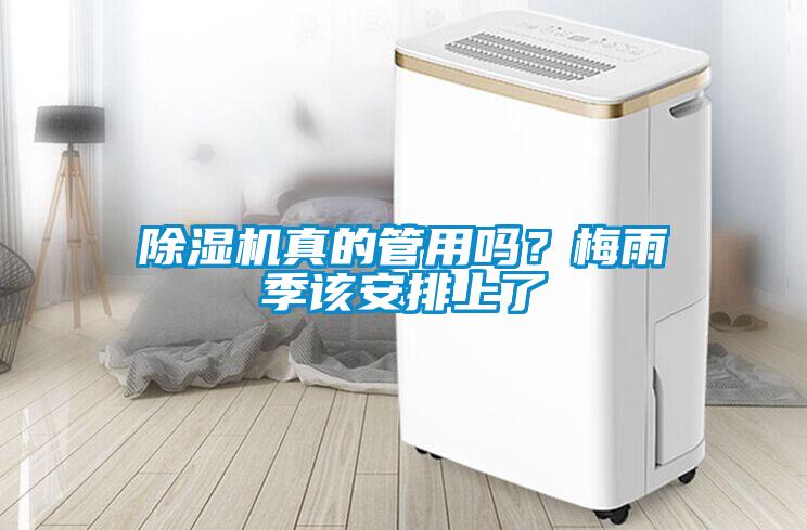 除濕機(jī)真的管用嗎？梅雨季該安排上了