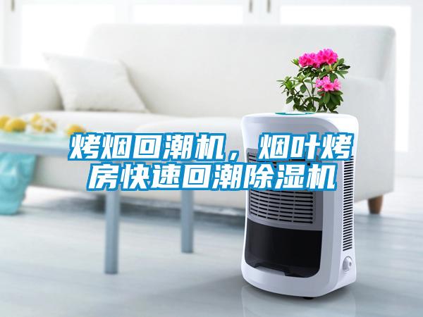 烤煙回潮機，煙葉烤房快速回潮除濕機
