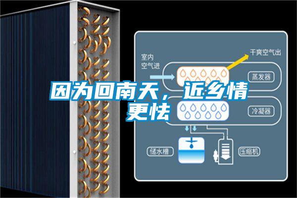 因?yàn)榛啬咸?，近鄉(xiāng)情更怯