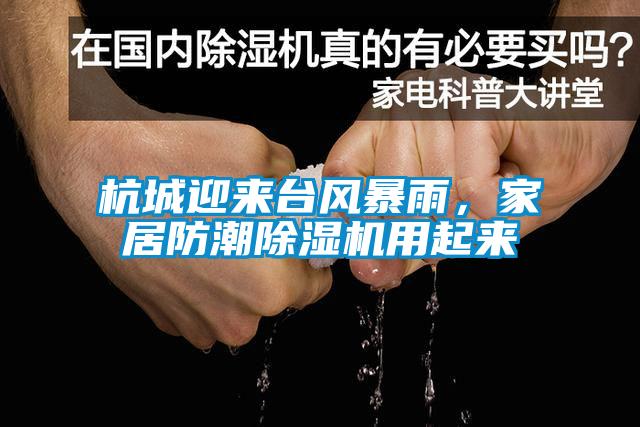 杭城迎來(lái)臺(tái)風(fēng)暴雨，家居防潮除濕機(jī)用起來(lái)