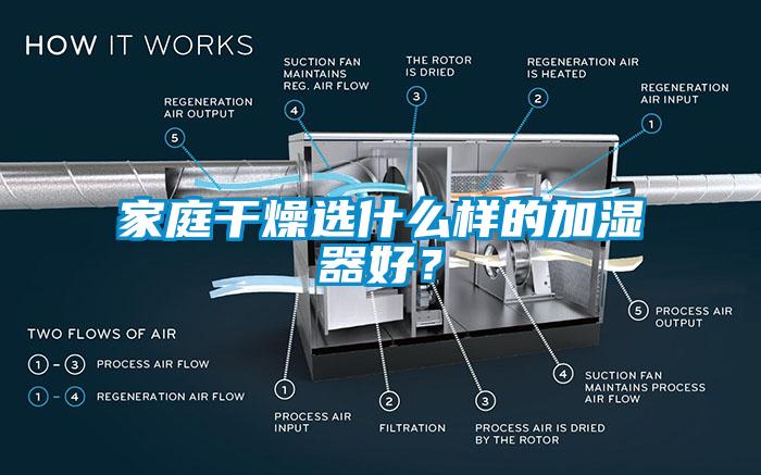 家庭干燥選什么樣的加濕器好？
