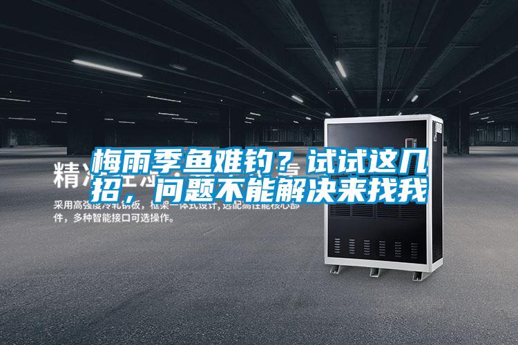 梅雨季魚難釣？試試這幾招，問題不能解決來找我
