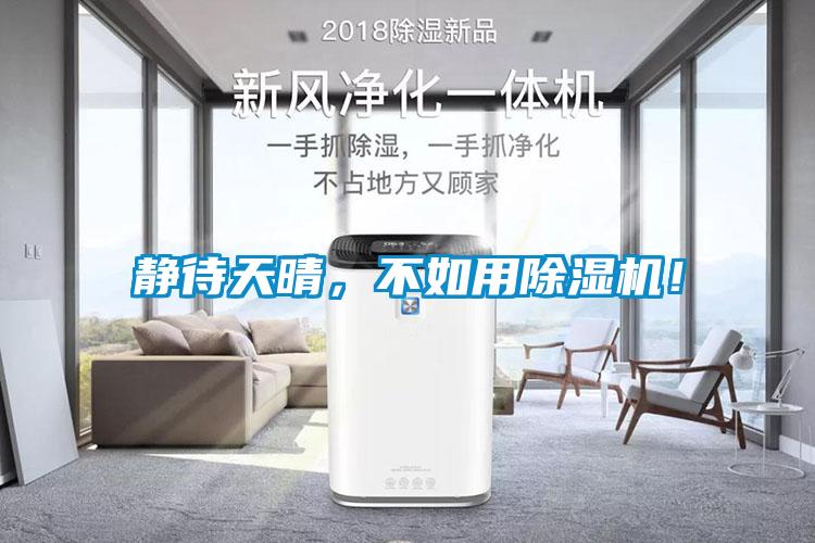 靜待天晴，不如用除濕機！