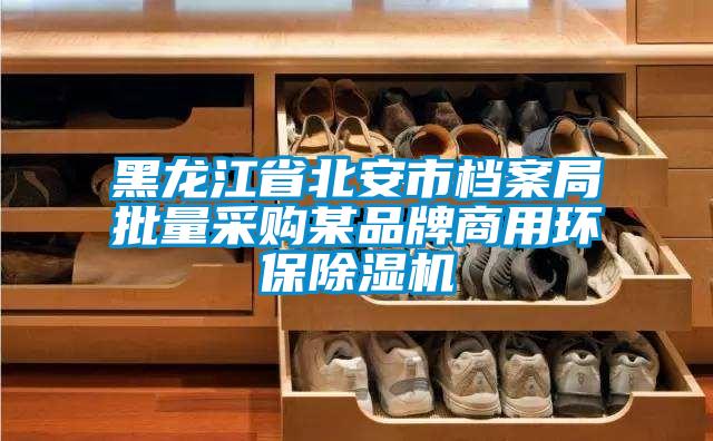 黑龍江省北安市檔案局批量采購某品牌商用環(huán)保除濕機(jī)