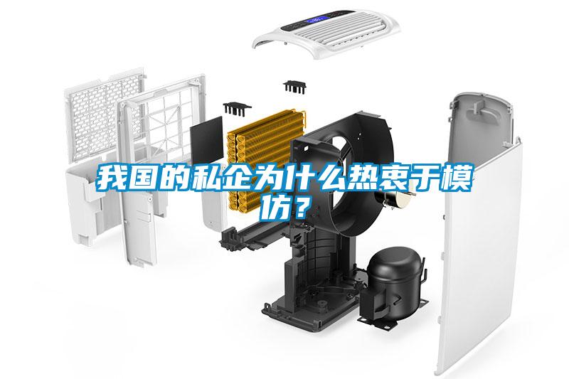 我國的私企為什么熱衷于模仿？