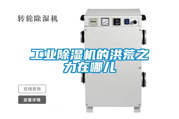 工業(yè)除濕機的洪荒之力在哪兒