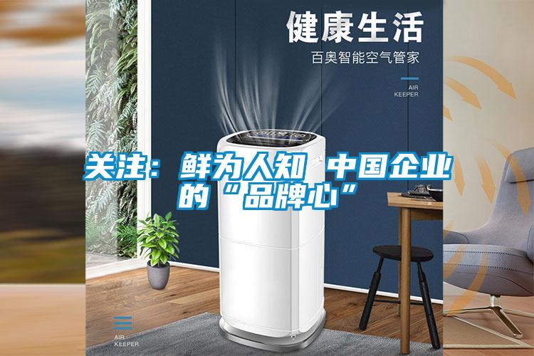 關(guān)注：鮮為人知 中國(guó)企業(yè)的“品牌心”