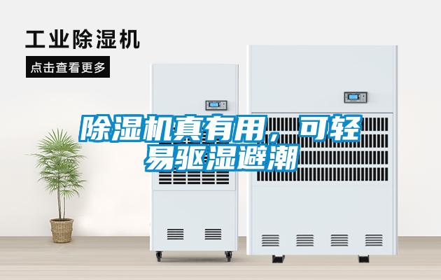 除濕機真有用，可輕易驅濕避潮