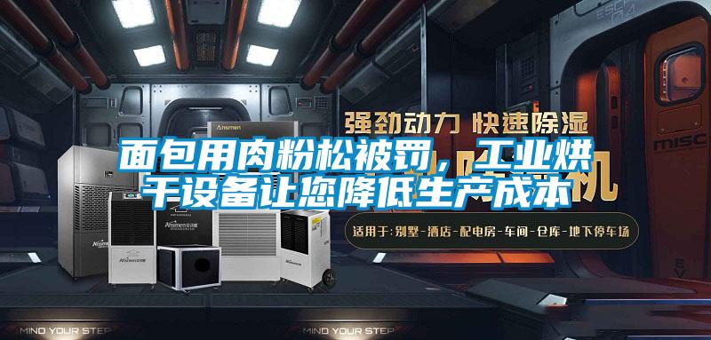 面包用肉粉松被罰，工業(yè)烘干設(shè)備讓您降低生產(chǎn)成本