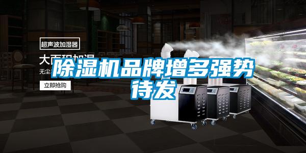 除濕機(jī)品牌增多強(qiáng)勢待發(fā)