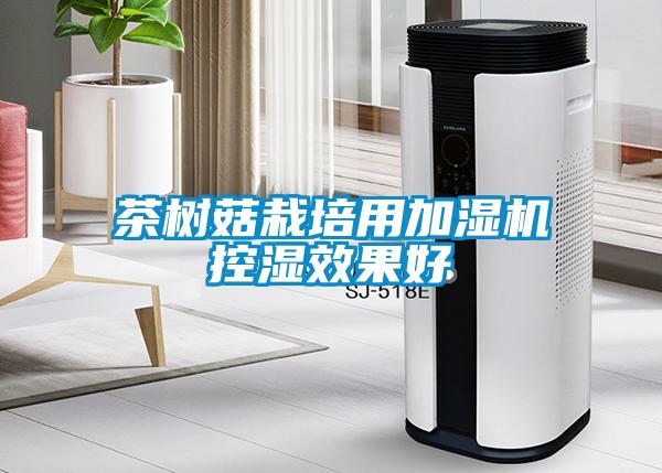 茶樹(shù)菇栽培用加濕機(jī)控濕效果好