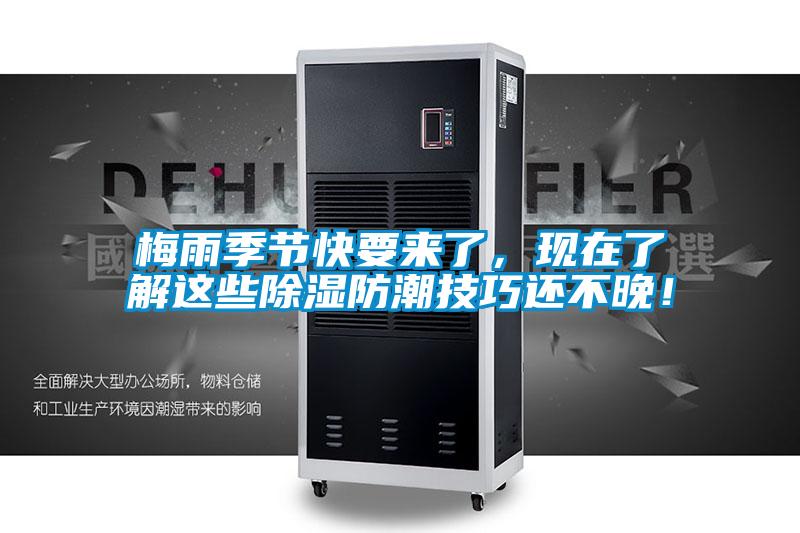 梅雨季節(jié)快要來了，現(xiàn)在了解這些除濕防潮技巧還不晚！